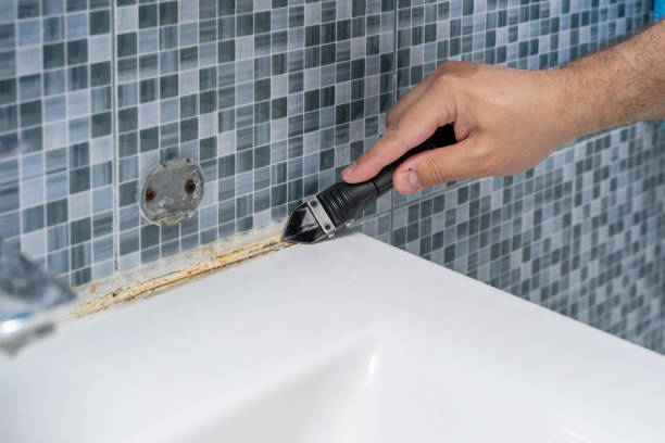 Best Preventive Mold Services in Lakewood, WA