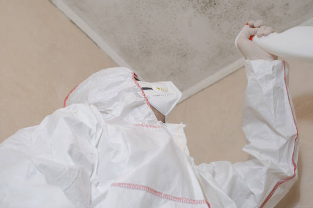Best Bathroom Mold Remediation in Lakewood, WA